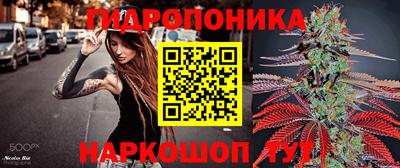 ПСИЛОЦИБИНОВЫЕ ГРИБЫ Вышний Волочёк