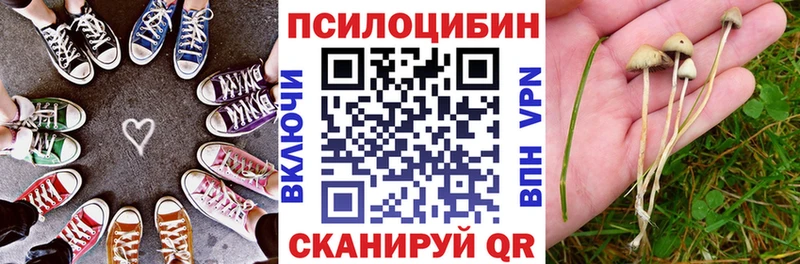 дарк нет как зайти  Курганинск  Галлюциногенные грибы Cubensis 